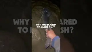Don&rsquo;t be SCARED ⁉️#fishing #outdoors #ytshorts