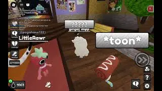 Wt# what is sound???? I get bug? Maybe