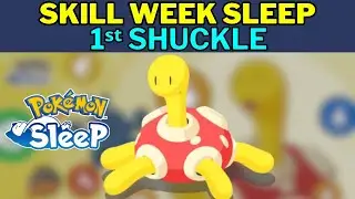Skill Week Sleep: First Shuckle #pokemonsleep