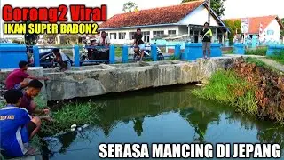 Heboh..!! Mancing Di Tengah Kota||Auto Jadi Tontonan