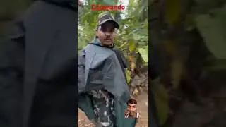 #commondo #cobara army lover of #veral video plz subscribe 🙏🗡️🙏 🚩🪖🪖🇮🇳🇮🇳❤️❤️⚔️⚔️💪💪🚩🚩💜💜💙💙⚔️⚔️🙏🙏🇮🇳🪖💪💪⚔️