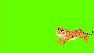 Green screen tiger run video#greenscreenvideo #freegreenscreenvideo #nocopyright