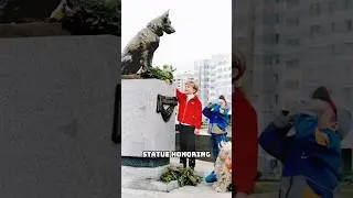 САМЫЕ ВЕРНЫЕ СОБАКИ
