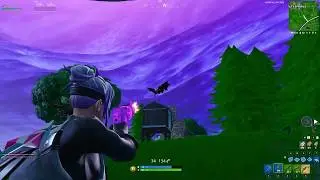 Flext | Highlights #1