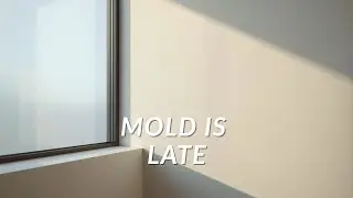 Moisture Problems Start Long Before You See Mold