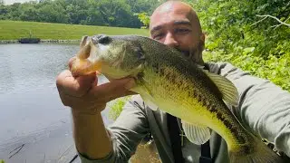 Spring Bass Fishing | Texas Rig and Lipless | May 12 2025 🎣😁🤙🏽