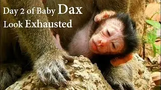 Pity poor newborn Dax look exhausted this evening,Baby Dax tired sleep before mom without get milk