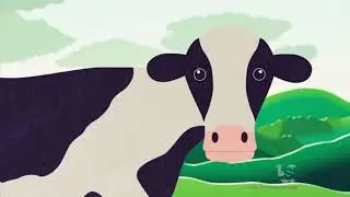 Type 55 Films/Vaughn Land and Cattle (2020)