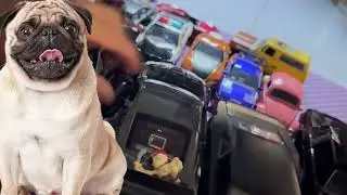 KIKO Y EL ESQUELETO MANEJAN CARRITOS