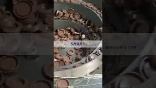 A profession manufacture of oil seal