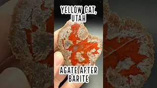 Agate after Barite Pseudomorphs from Yellow Cat, Utah #agate #rockhounding #yellowcat #utah