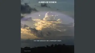 Euphoric Cosmic Migration (Original)