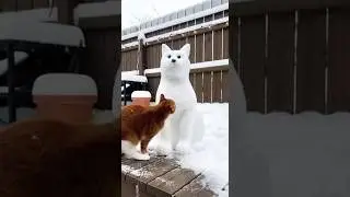 Real CATA vs SNOWCAT hahaha #elabafk #theventuredkings #new