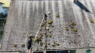Roof Cleaning Process