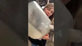 Big Dee's Tack and Vet Supply