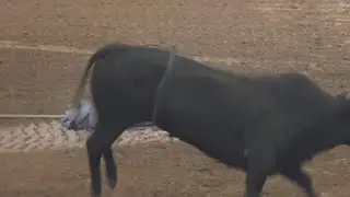 Bell County Rodeo brings bull riding, mutton bustin' and more to Central Texas