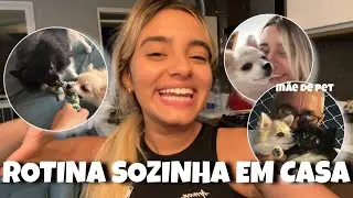 ROTINA SOZINHA EM CASA SENDO M&Atilde;E DE PET - Bela Almada