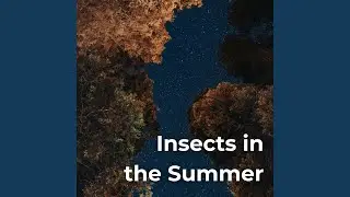 Insects Buzzing Chirping Clicking Drumming