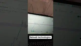 Netweb technologies stock review