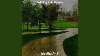 Medium Light Rain on Leaves