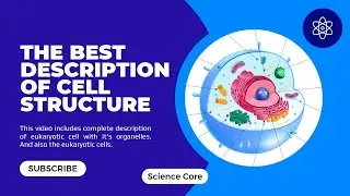 Cell Structure |3D Description of Cell Structure with its Organelles #biology #cell #science #scifi
