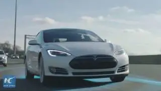 NTSB&nbsp;says it booted Tesla from fatal crash probe