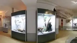 Museo Alcides d'Orbigny 1