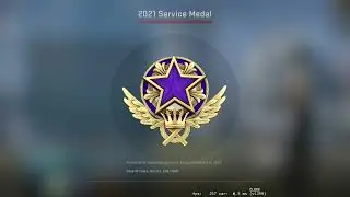Getting the 2021 purple medal (tier 4) in CS:GO