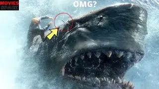 10 Best Shark Movies Of All Time