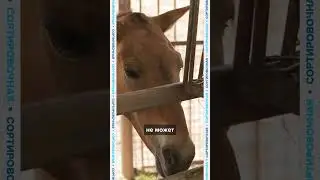 Контактные зоопарки &mdash; зло?