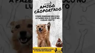 O bicho concentrou todos os chakras kkk