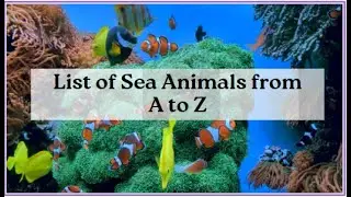 SEA ANIMALS LIST IN ENGLISH   |  A TO Z SEA ANIMALS NAME