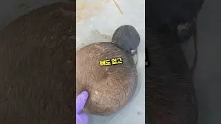 알고 만지면 소름 돋는 이유