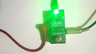 Looper ammoon -  Review
