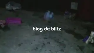 Blog de blitz (hermanos)