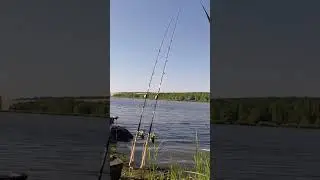 Harcsa kap&aacute;s &aacute;ll&iacute;tott botra!#shorts #benceujvarifishing