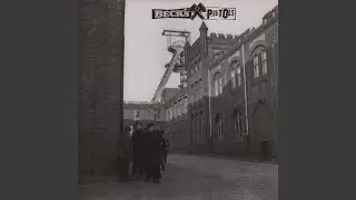 Pöbel und Gesocks