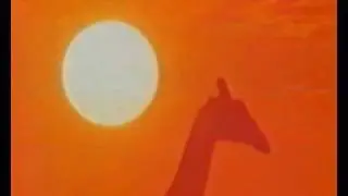 air zimbabwe ad