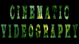 Cinematic Video - Awesome Plant's Cinematic Videography 2022