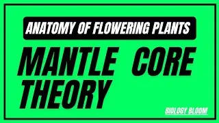 Mantle Core Theory | Anatomy of Flowering Plants | Biology Bloom