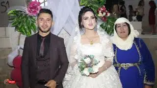 اجمل حفلات كوباني العريس نضال