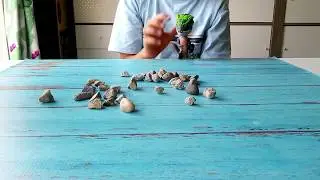 Fingerlings Dinosaur Interactive Toys #FerociousFriday