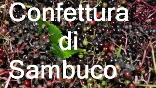 Confettura di Sambuco Fai da te by Paolo Brada DIY