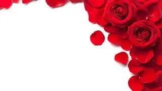 Special Days in February || Valentine Week List Dates 2021 || Valentine Week and Month 2021 February