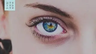 Phlux - DELICATE