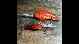 Lake Lanier BFL... First tournament of 2022!