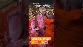 #Shubh Prabhat Jaidev Jaidev Jai Mangal Murti Ganpati Bappa morya#💐&hearts;️🙏🕉️#