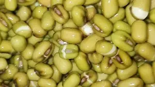 Konkani Style Mooga Mole Randai
