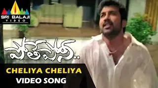 Pothe Poni Video Songs | Cheliya Cheliya Video Song | Sivabalaji, Sindhu Tolani | Sri Balaji Video