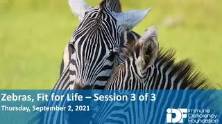 Zebras, Fit for Life: Part 3: An IDF Forum, September 2, 2021